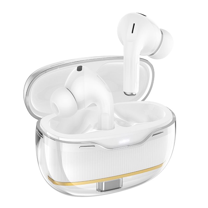Hoco Physical Noise Cancelling True Wireless Earbuds Bluetooth Headphones EW54