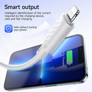 Hoco Lightning Charging Data Cable with 2.4A Fast Charging and Data Sync