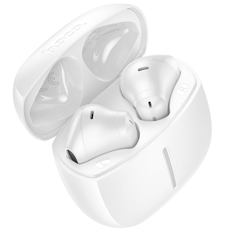 Hoco Wireless Bluetooth Earbuds with Touch Controls and App Connectivity