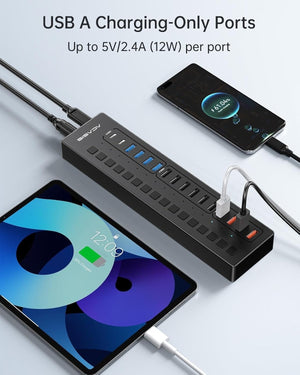 ACASIS 16 Port Powered USB Hub 5Gbps with On/Off Switches and 60W Adapter for PC Laptop